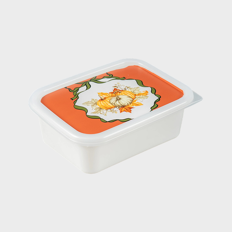 Boîte de rangement en plastique PFB067